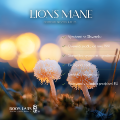 Lions4