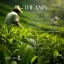L-theanine_03