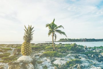 Bromelaín: Užitočný enzým z ananásu pre lepšie trávenie a podporu chudnutia