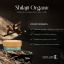 shilajit_02
