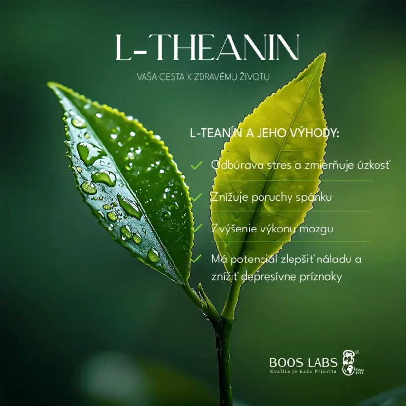 L-theanine_02