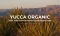 YUCCA-SCHIDIGERA-yucca-yucca organic podpora vstrebávania živín organické výživové doplnky očista ciev detox organizmu vegánske doplnky stravy čo sú to saponíny