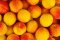 Vitamín B17: Aké má účinky a v ktorých potravinách ho nájdete?