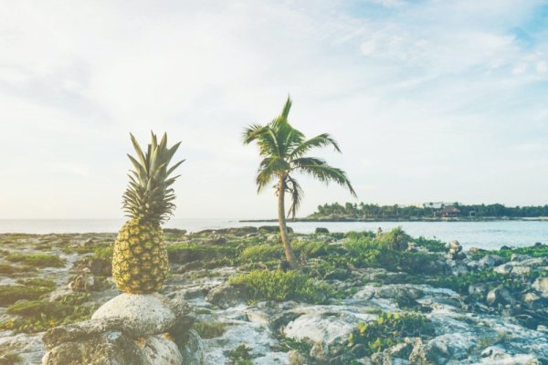 Bromelaín: Užitočný enzým z ananásu pre lepšie trávenie a podporu chudnutia