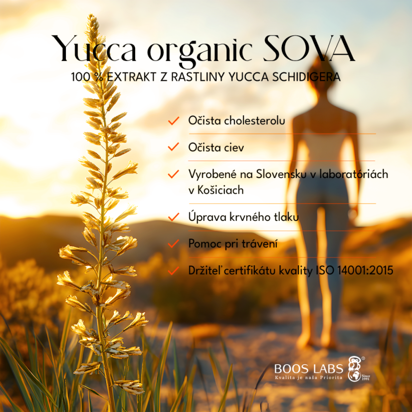 yucca_organic_sova_03